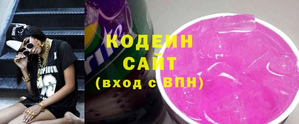 apvp Инсар