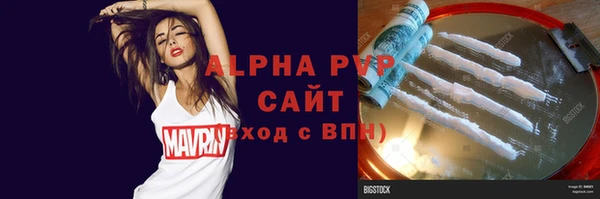 apvp Инсар