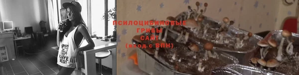Альфа ПВП Иннополис