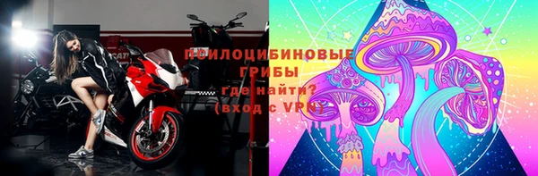 apvp Инсар