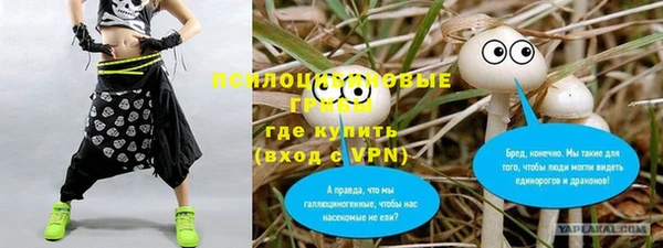 apvp Инсар