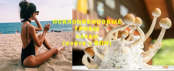 MDMA Premium VHQ Зеленодольск